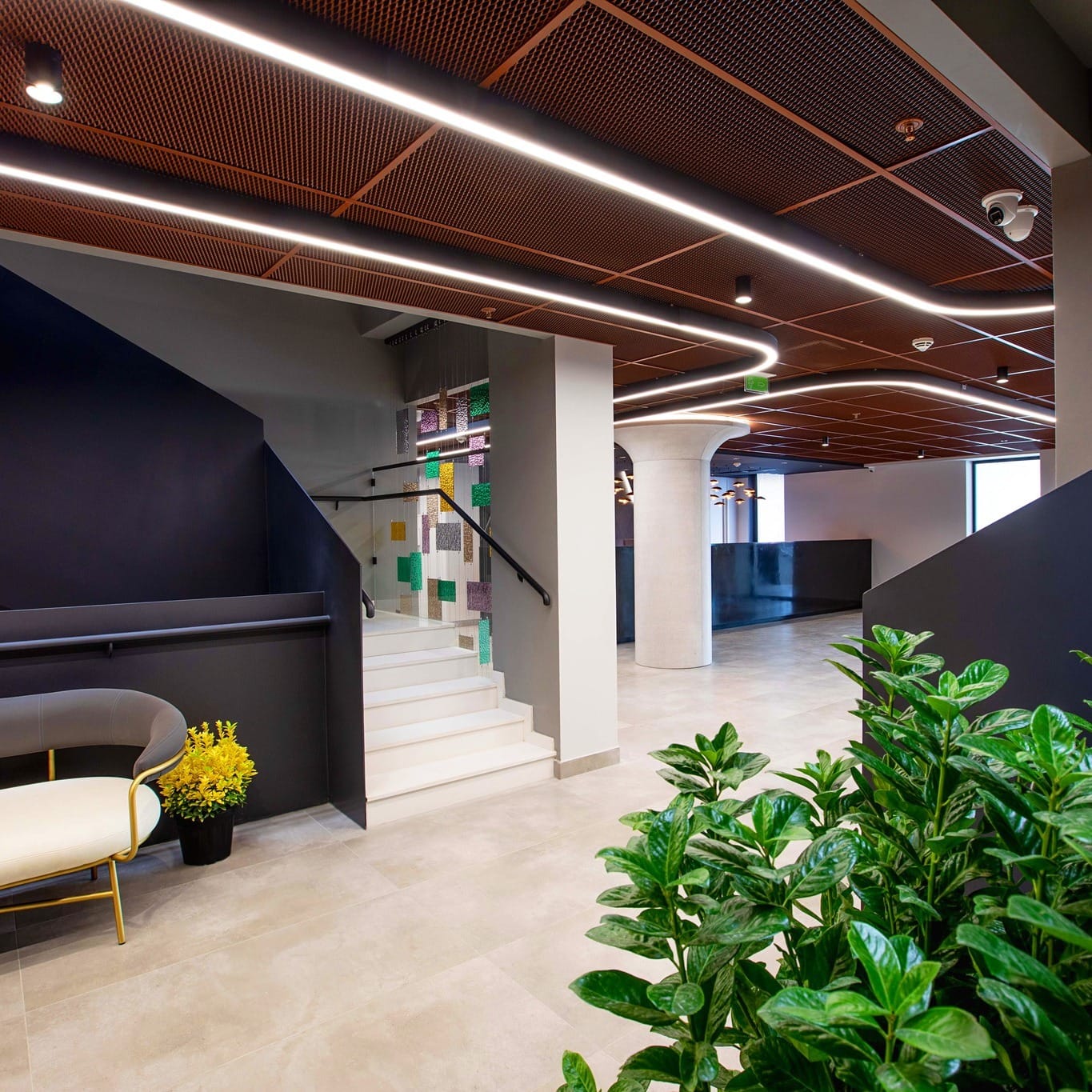 თოდუას კლინიკა (2)